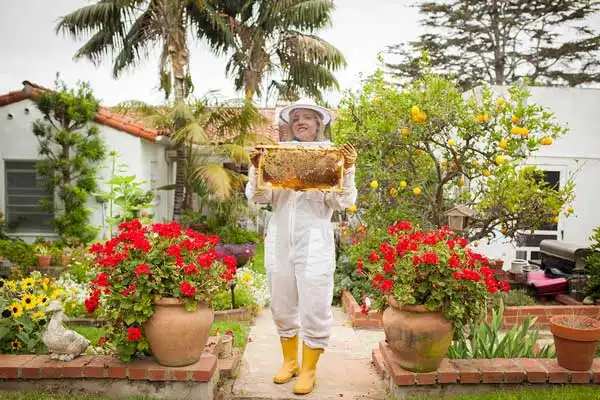 انواع عسل بر اساس منطقه تولید