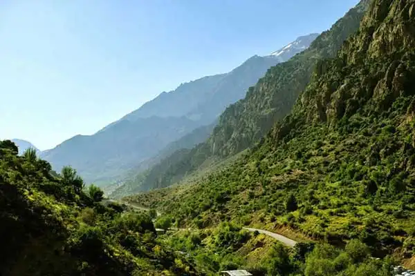 کوه های کهگیلویه و بویر احمد