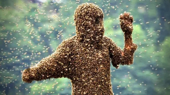 خواص نیش زنبورعسل: ۳۱ فواید نیش زنبور که نمی‌دانید!